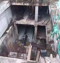 粵港澳大灣區(qū)西線新動(dòng)脈 虎門(mén)、長(zhǎng)安工程建設(shè)迎來(lái)實(shí)質(zhì)性利好，實(shí)地勘察全面展開(kāi)